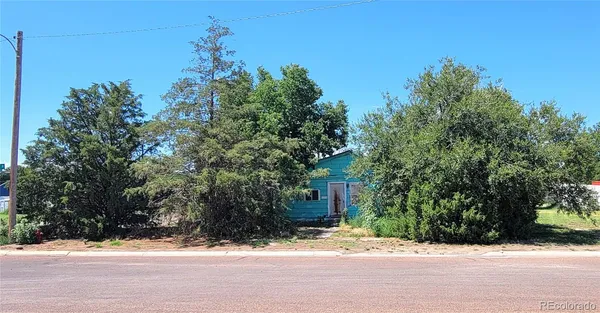 a street view with wooden fence and plants