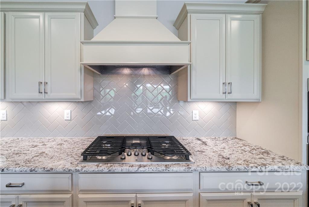 3064 Quinebaug Road Fort Mill, SC 29715 - Photo 8 of 47 Gallery Image 8