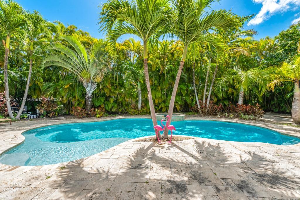 a view of a backyard with palm trees