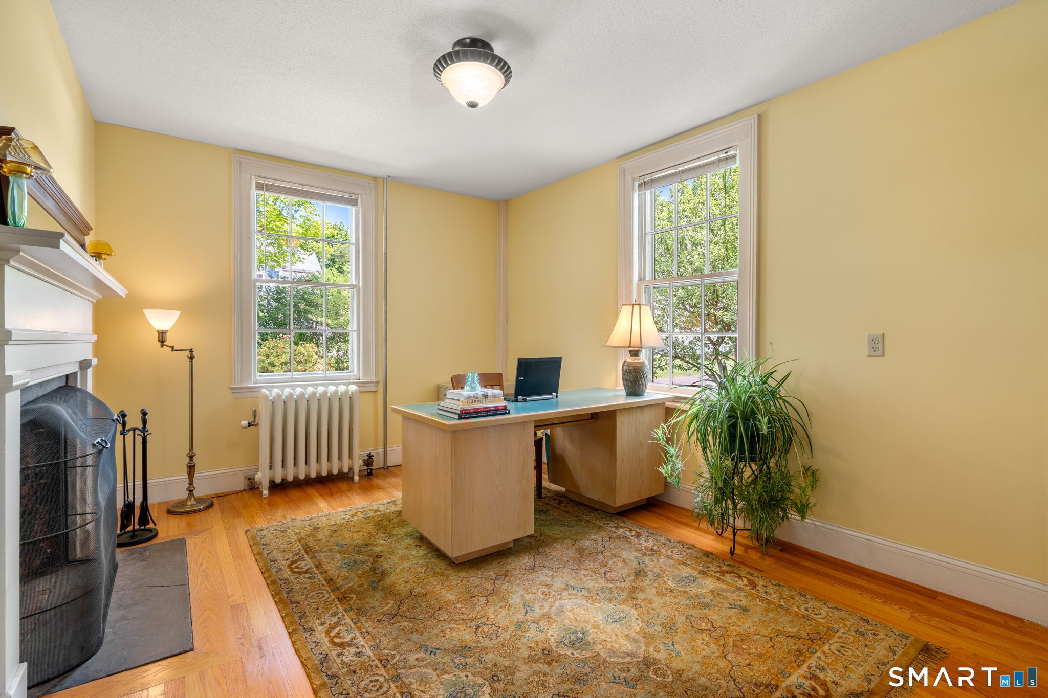 52 South Main Street Suffield, CT 06078 - Photo 22 of 40 a living room with furniture and a potted plant