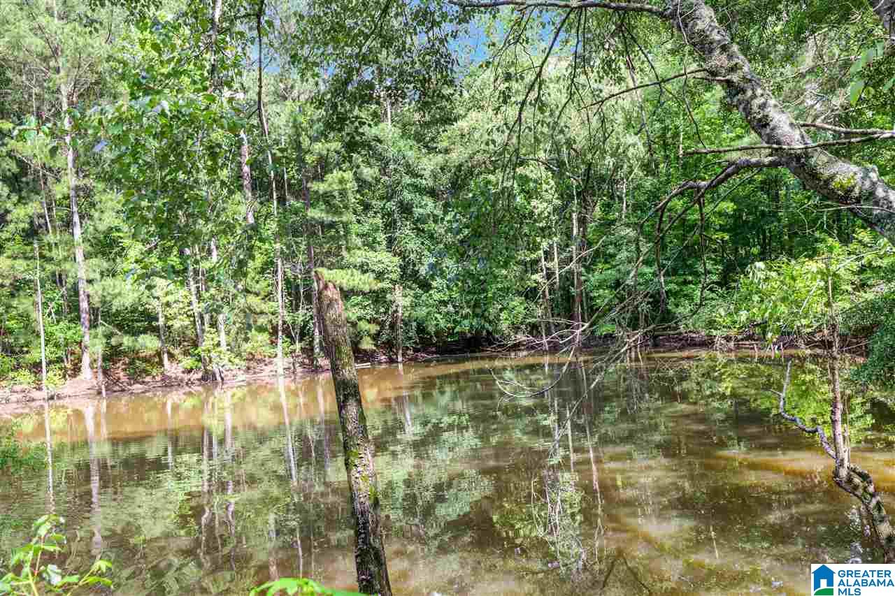 615 Pine Ridge Road Pell City, AL 35125 - Photo 25 of 25