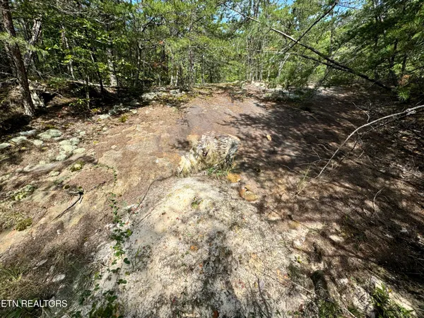 $32,000,000 | 207 Lick Fork Lane, Pioneer, TN 37847