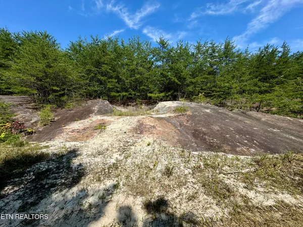 $32,000,000 | 207 Lick Fork Lane, Pioneer, TN 37847