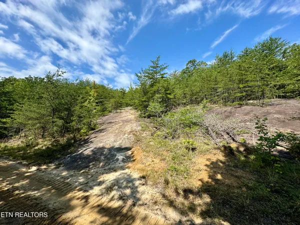 $32,000,000 | 207 Lick Fork Lane, Pioneer, TN 37847