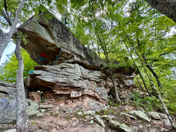 $32,000,000 | 207 Lick Fork Lane, Pioneer, TN 37847