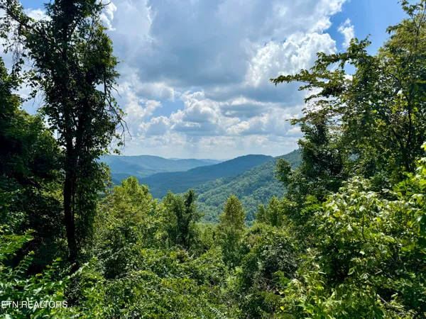 $32,000,000 | 207 Lick Fork Lane, Pioneer, TN 37847