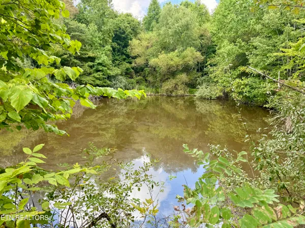 $32,000,000 | 207 Lick Fork Lane, Pioneer, TN 37847