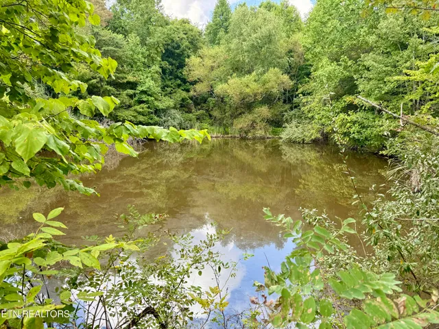 $32,000,000 | 207 Lick Fork Lane, Pioneer, TN 37847