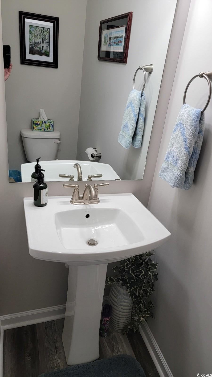 372 Leste Road Myrtle Beach, SC 29588 - Photo 10 of 25 Bathroom with sink, wood-type flooring, and toilet