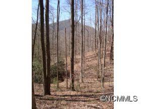 3 Edney Inn Road Hendersonville, NC 28792 - Photo 1 of 10 Gallery Image 1
