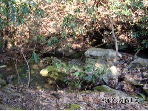 3 Edney Inn Road Hendersonville, NC 28792 - Photo 7 of 10 Gallery Image 7