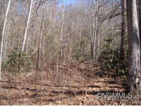 3 Edney Inn Road Hendersonville, NC 28792 - Photo 8 of 10 Gallery Image 8