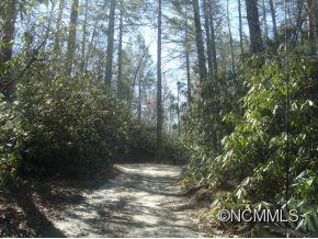 3 Edney Inn Road Hendersonville, NC 28792 - Photo 10 of 10 Gallery Image 10