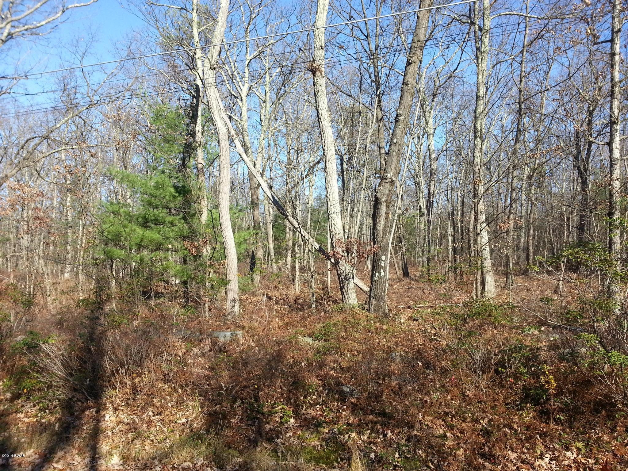 8 C Cabin Ridge Road Hawley, PA 18428 - Photo 3 of 7