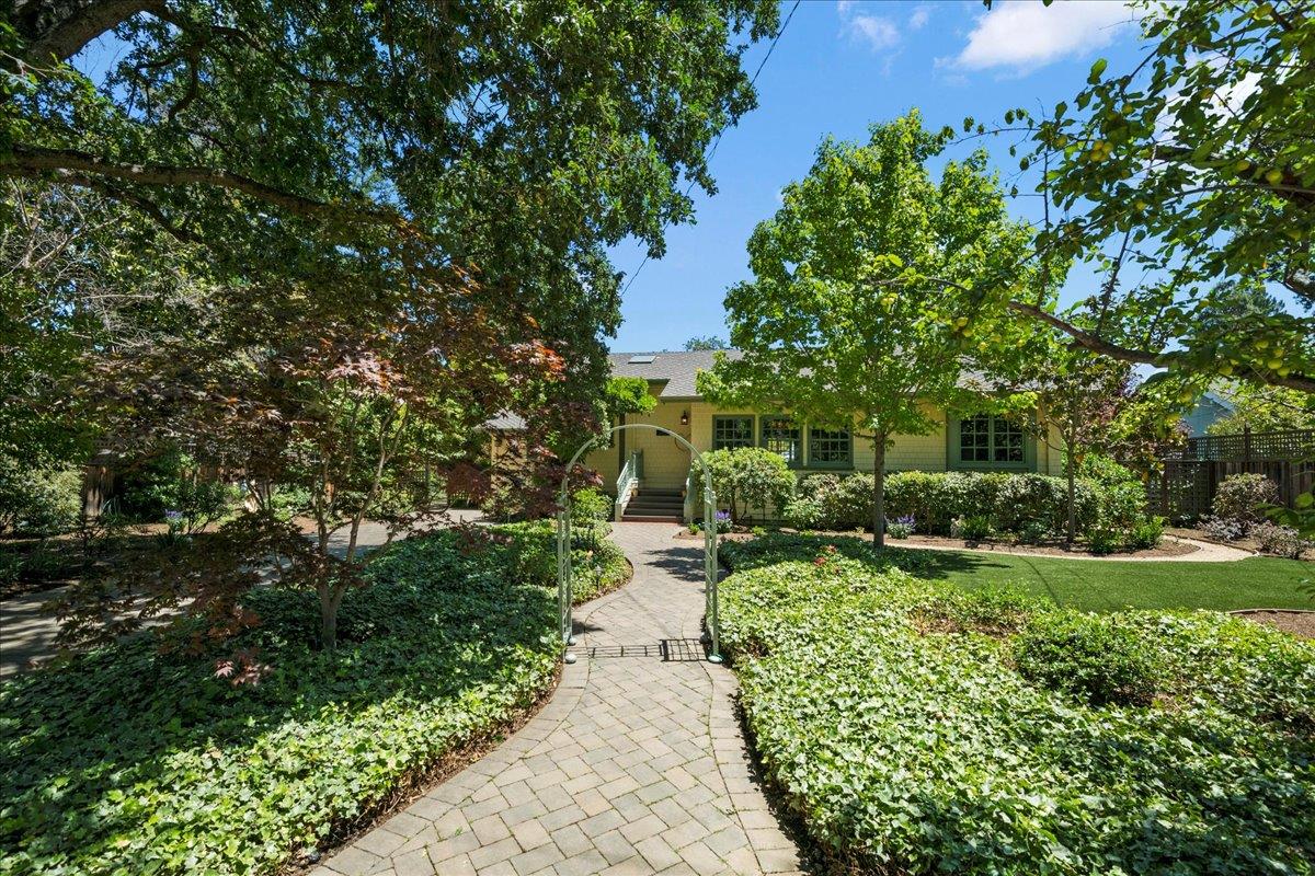 a view of a back yard