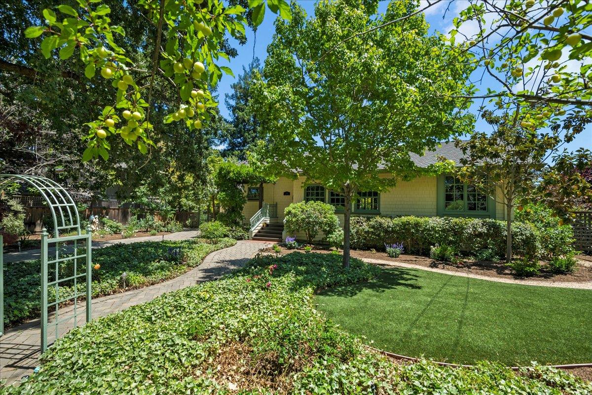 32 Maple Avenue Atherton, CA 94027 - Photo 4 of 52 a view of a garden with plants and large trees