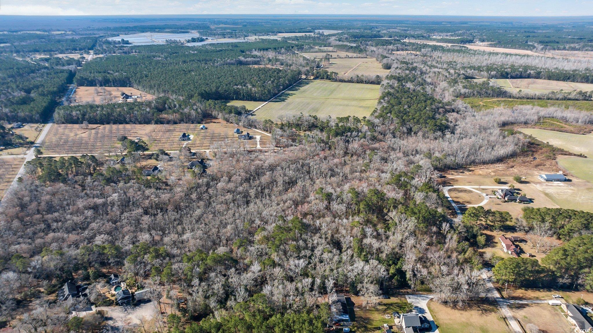 Tbd Reba Drive Conway, SC 29527 - Photo 5 of 16