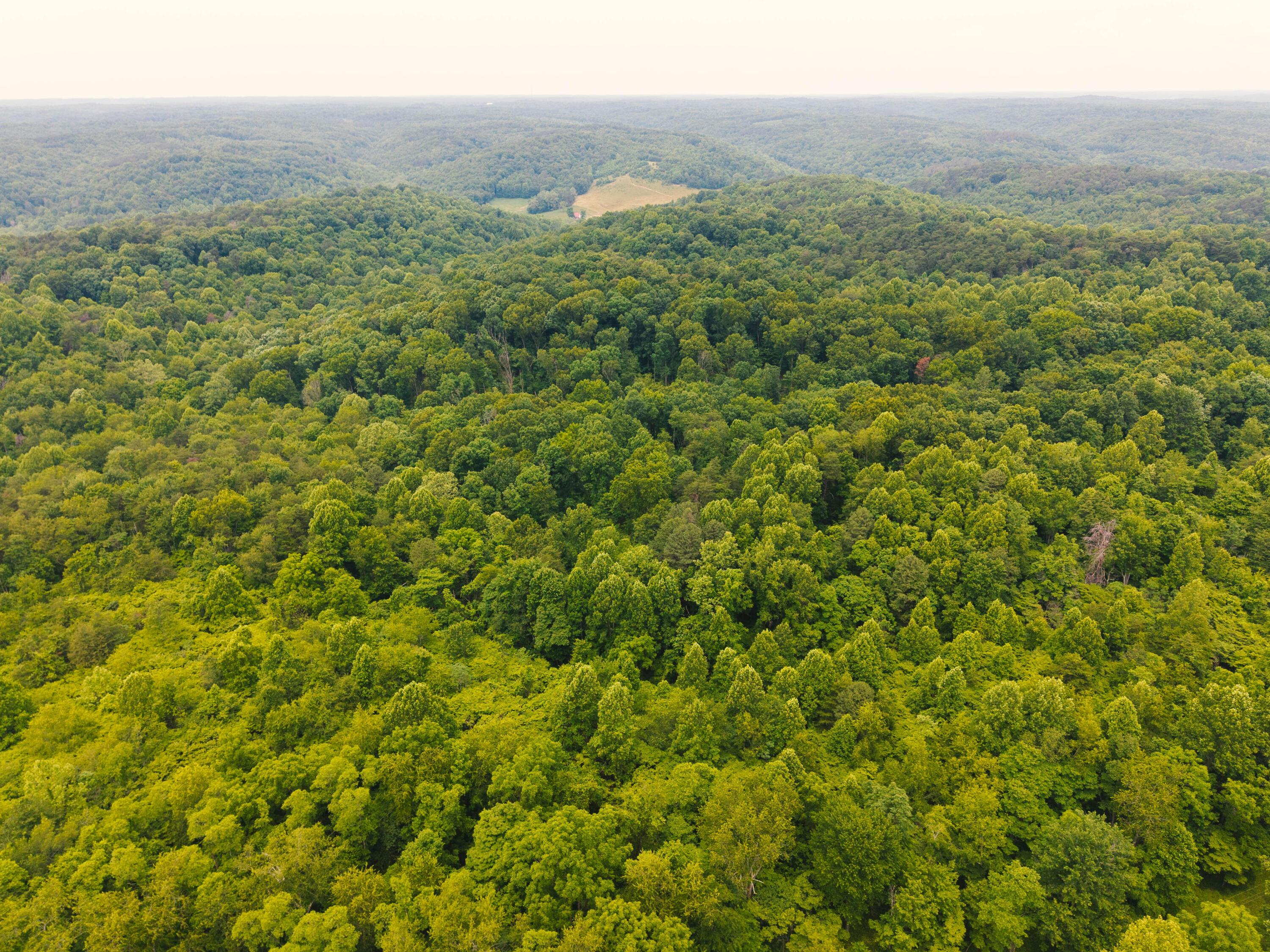 0 Unger Road, Unit LOT H Logan, OH 43138 - Photo 12 of 14