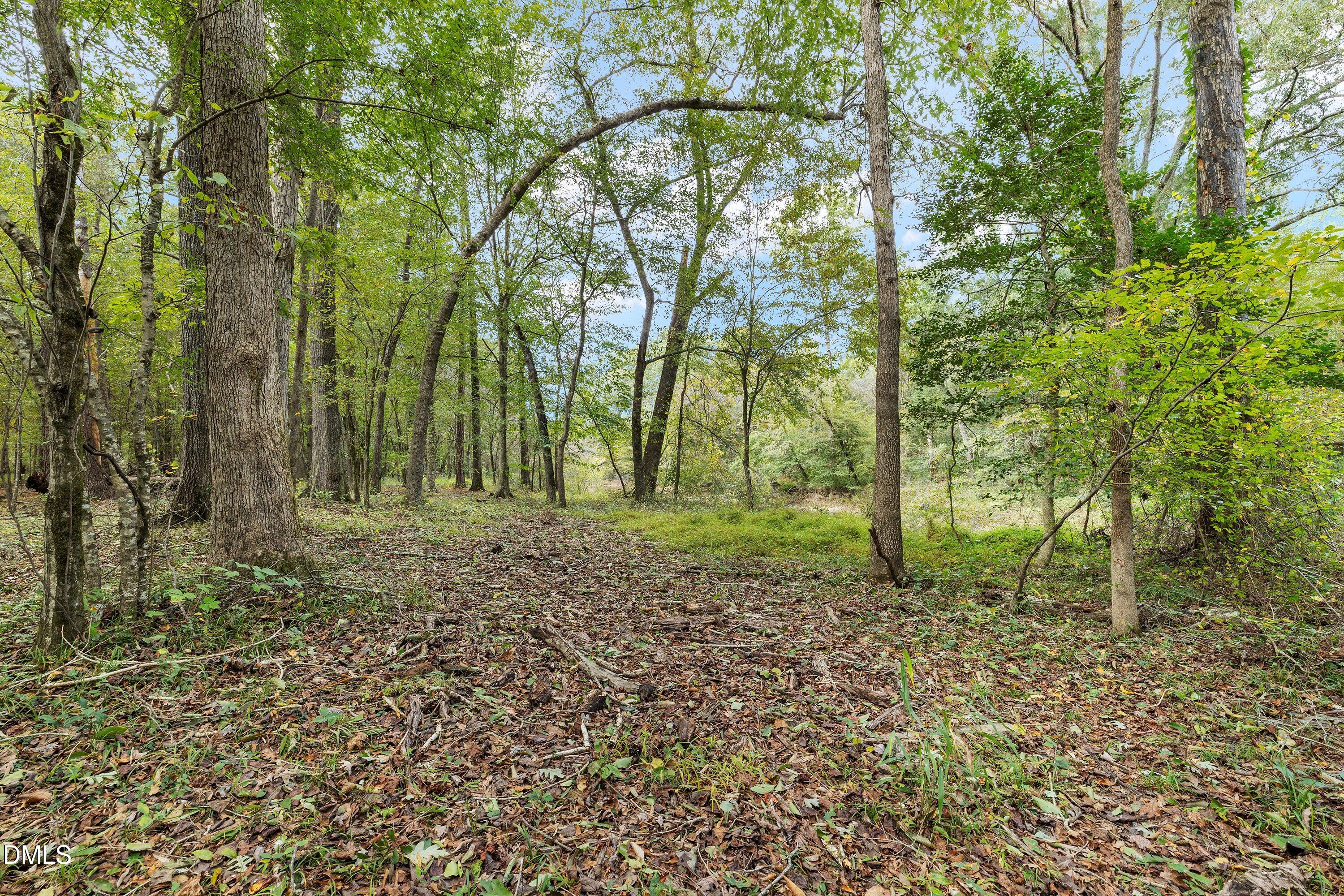 384 King Road Selma, NC 27576 - Photo 63 of 77 75-384 King Rd_8948