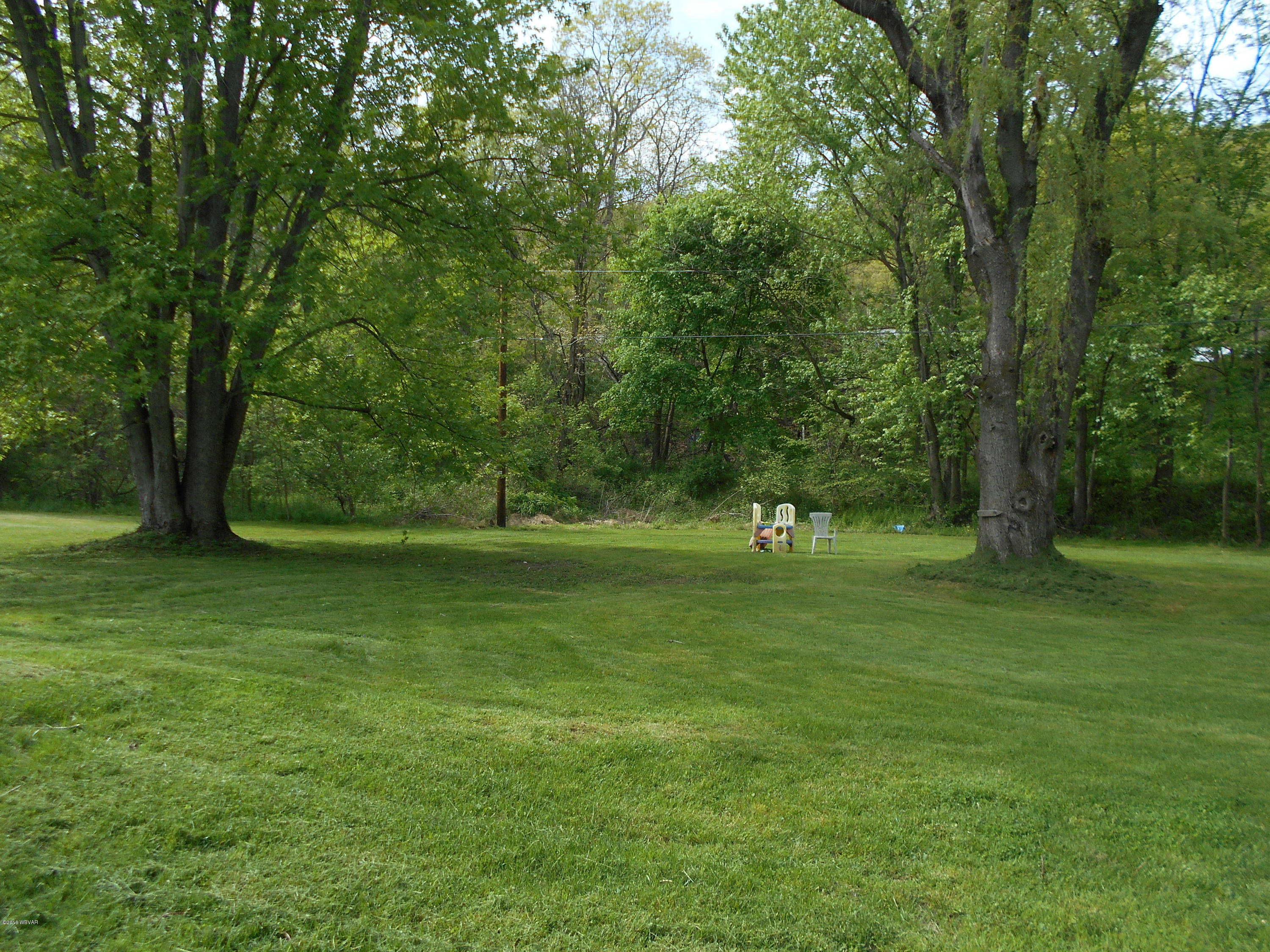 Back yard 2
