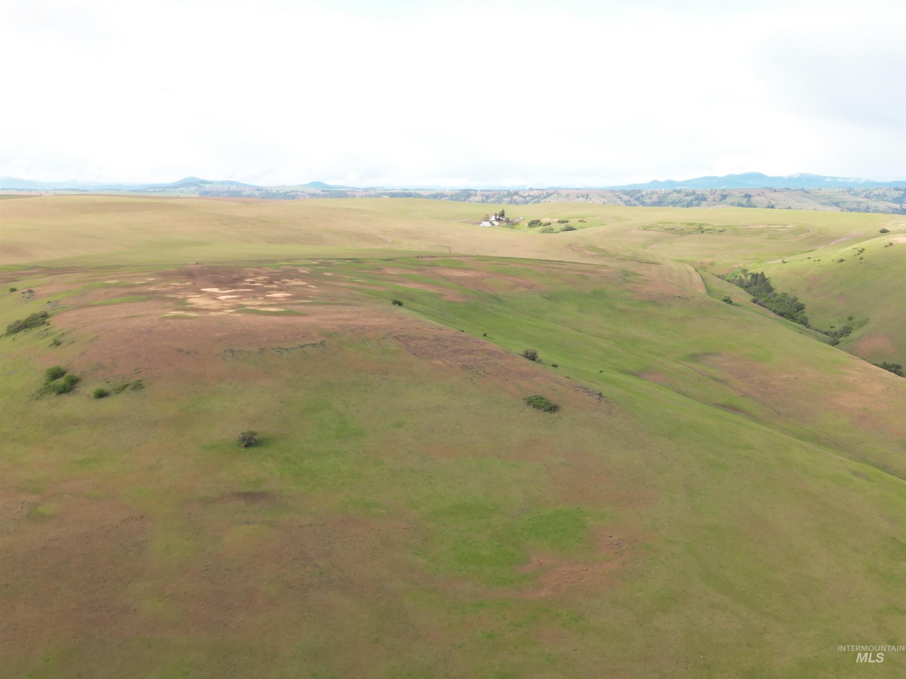 0 American Ridge Road Kendrick, ID 83537 - Photo 15 of 17