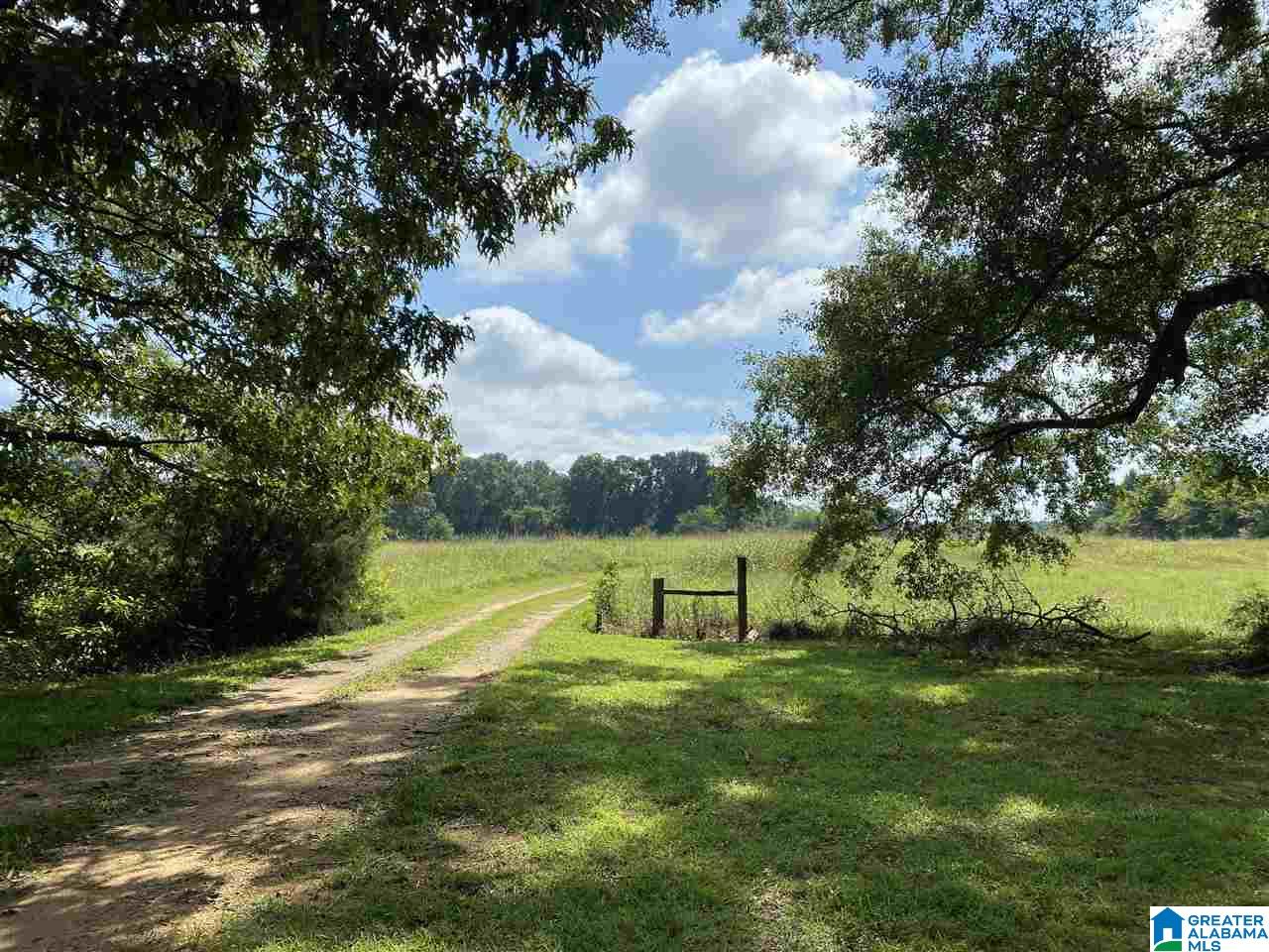 10797 River Road, Unit 1 Selma, AL 36703 - Photo 6 of 31 Gallery Image 6