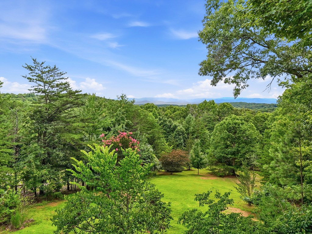 516 Endless View Road Mineral Bluff, GA 30559 - Photo 52 of 55