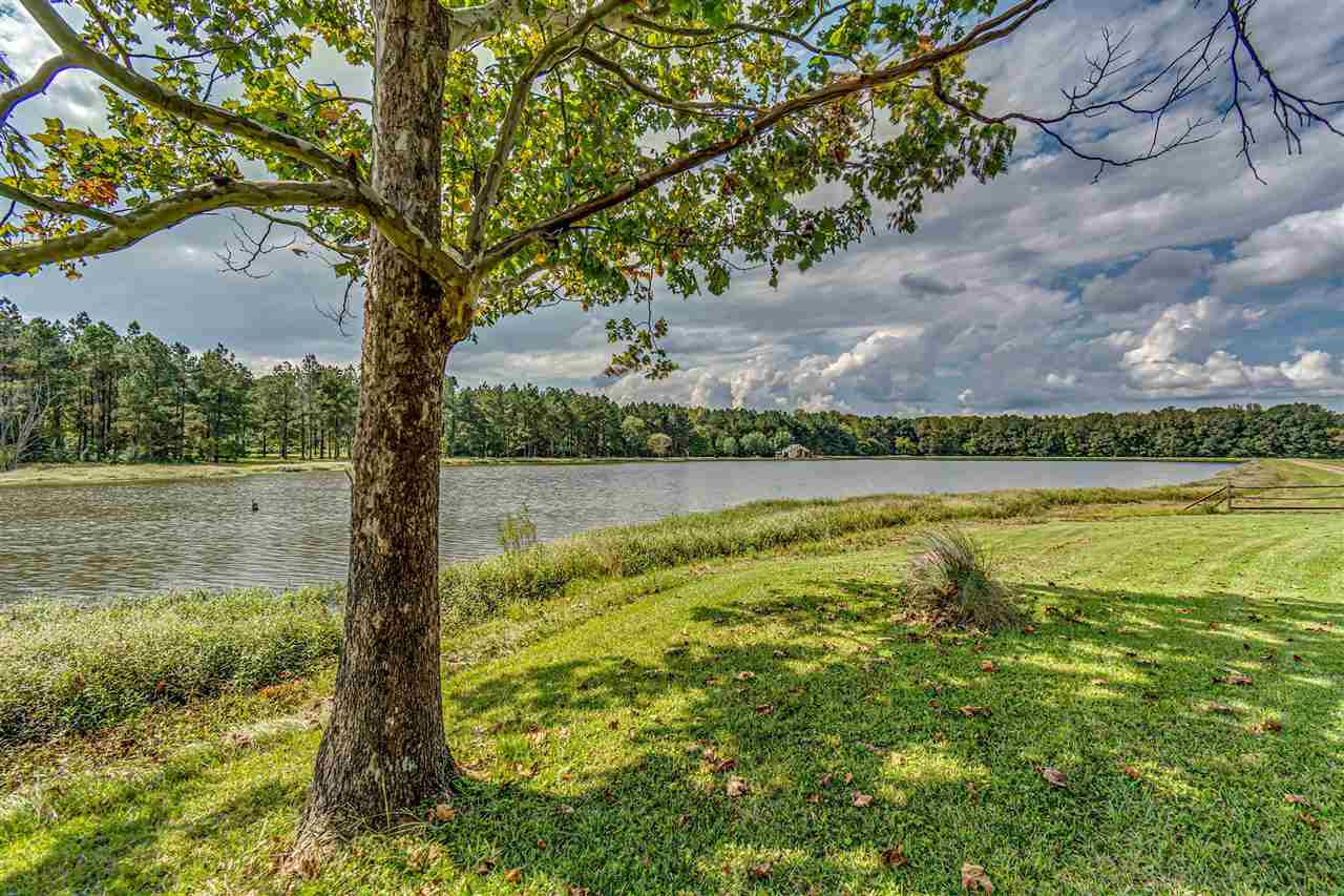 10911 Old Port Gibson Road Edwards, MS 39066 - Photo 14 of 42 Photo 16