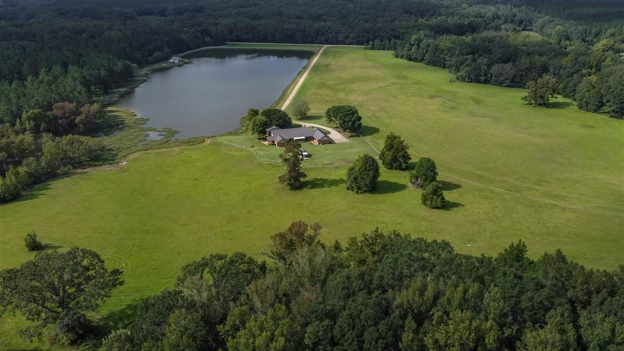 10911 Old Port Gibson Road Edwards, MS 39066 - Photo 38 of 42 Photo 43