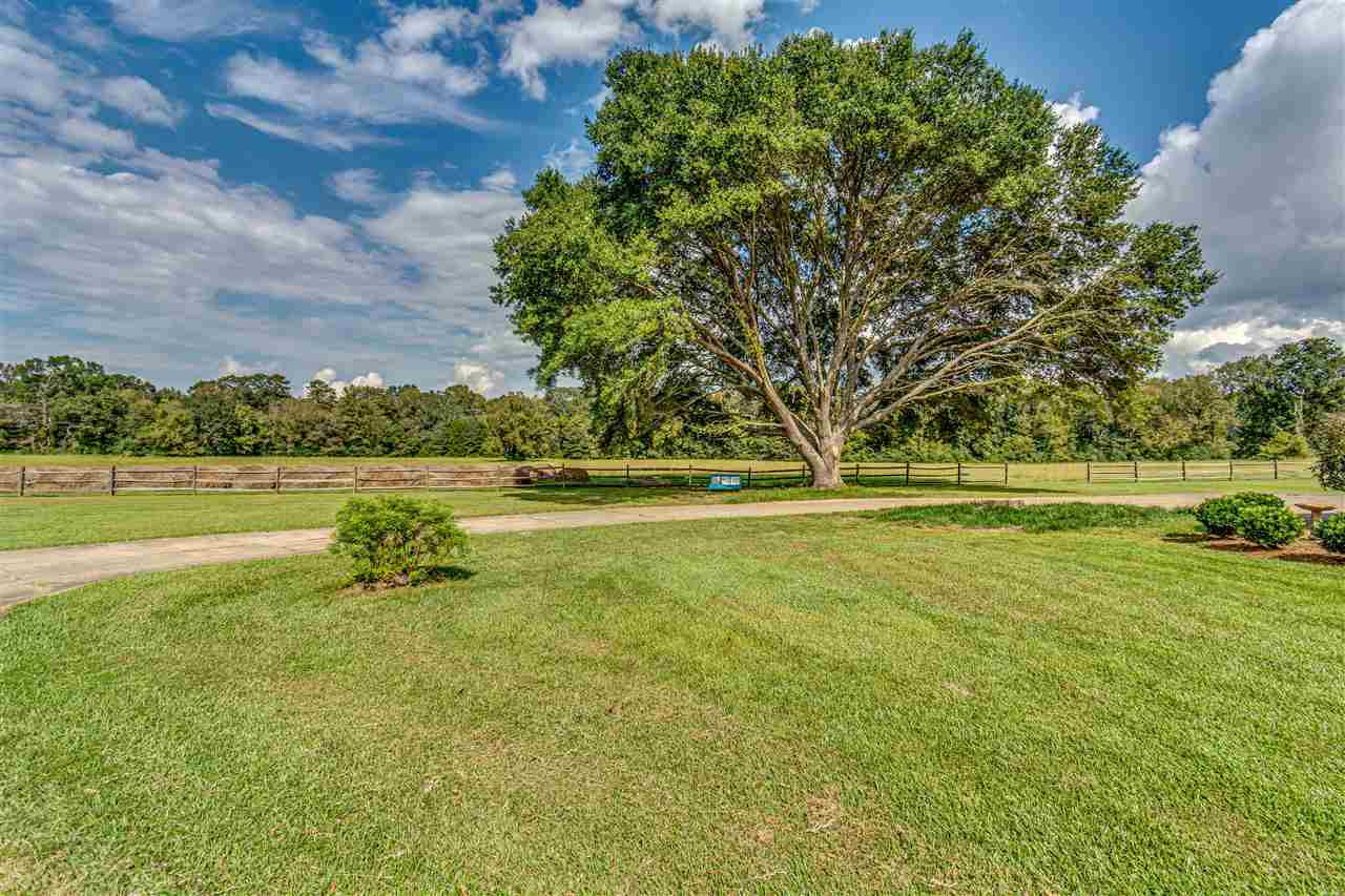 10911 Old Port Gibson Road Edwards, MS 39066 - Photo 6 of 42 Photo 8