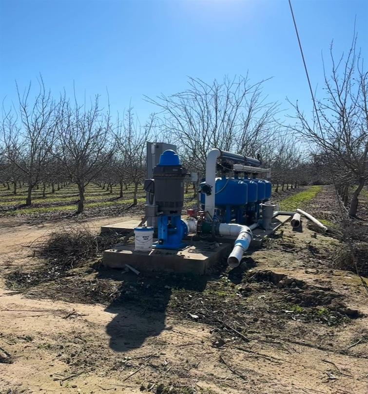 875 Geer Road Modesto, CA 95357 - Photo 17 of 37 a view of a yard with large trees