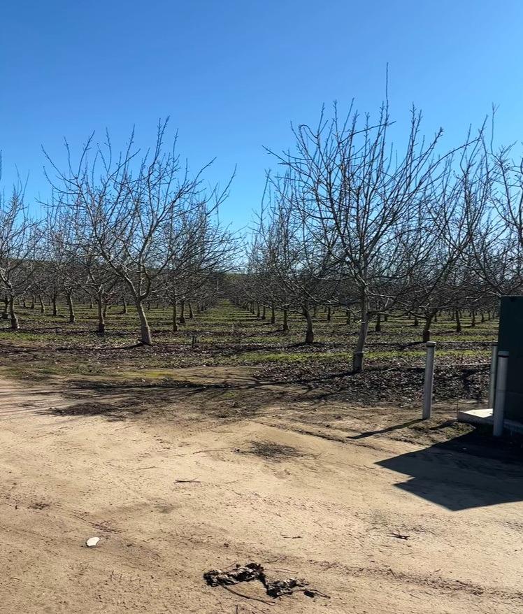 875 Geer Road Modesto, CA 95357 - Photo 21 of 37 a view of yard covered with snow in front of house