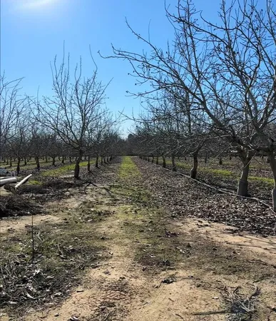 a view of a yard with wooden fence
