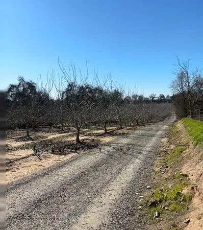 a view of a yard