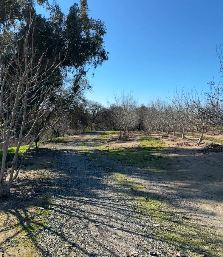 875 Geer Road Modesto, CA 95357 - Photo 27 of 37 a view of a yard