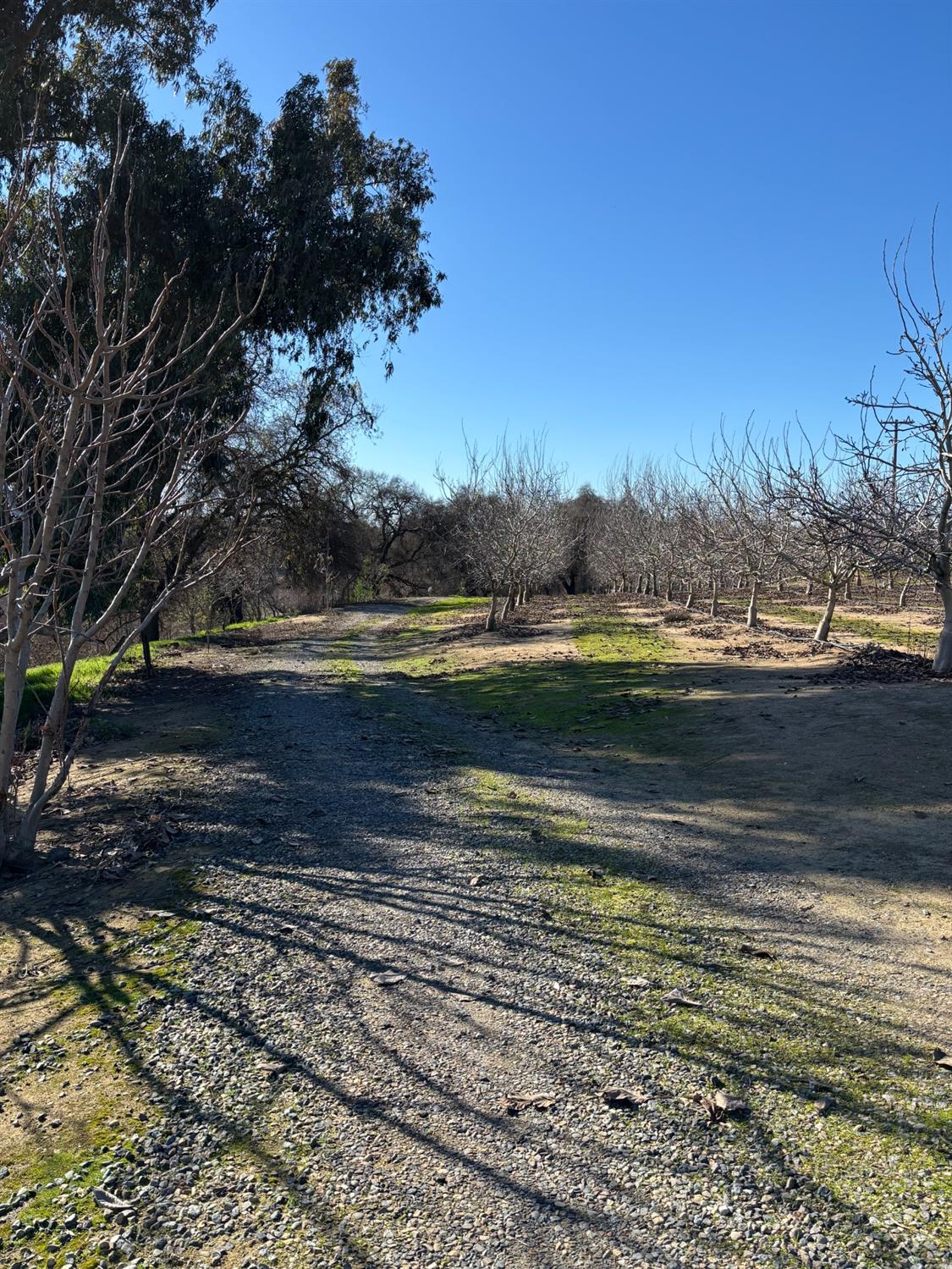 875 Geer Road Modesto, CA 95357 - Photo 28 of 37 a view of an ocean beach