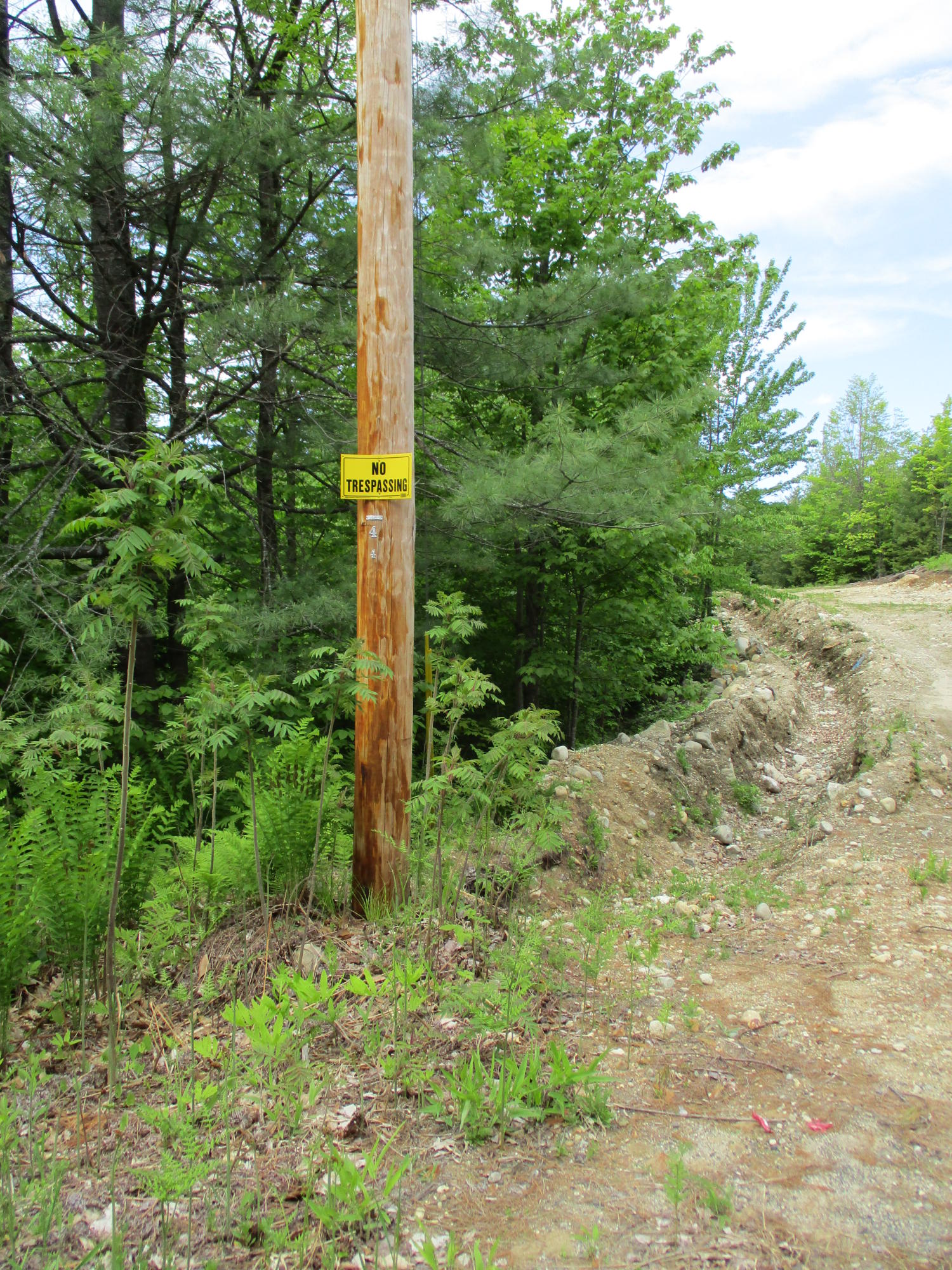 85 Ricker Hill Road Hartford, ME 04220 - Photo 4 of 4 Bruce Richards (4)