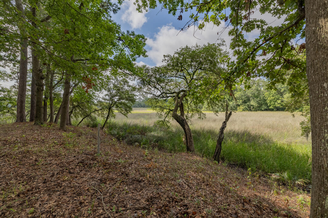 1763 Markham Road Charleston, SC 29414 - Photo 27 of 32 1763-Markham-Rd-9