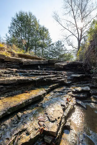 a view of an outdoor space