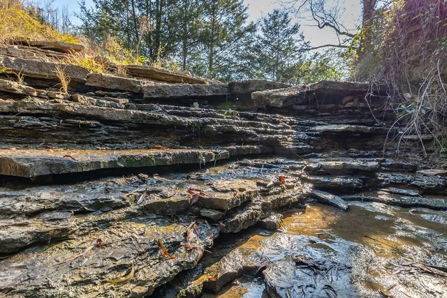 a view of a lake with trees