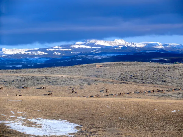 $185,000 | 4 Flying Frog Lane, Dubois, WY 82513