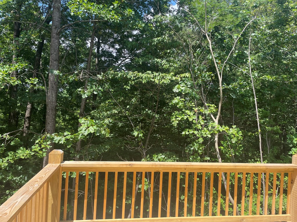 3011 Highgate Court Dalton, GA 30721 - Photo 22 of 25 Gallery Image 22