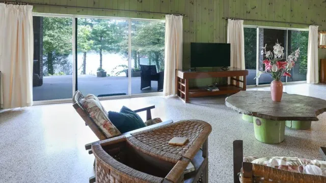 a view of backyard with large trees and plants