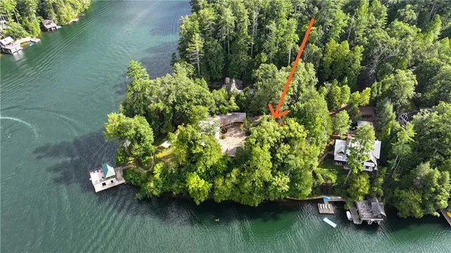 a view of a garden with a lake