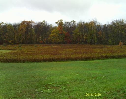 2494 Baseline Road Stockbridge, MI 49285 - Photo 1 of 1 Photo 1