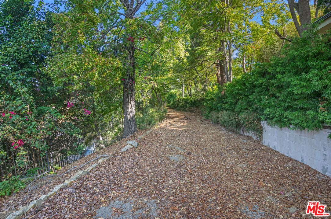 13442 Java Drive Beverly Hills, CA 90210 - Photo 5 of 8 a view of a pathway with a tree