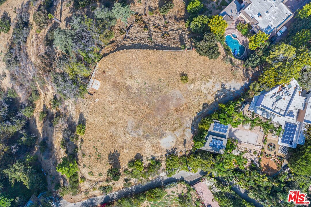 13442 Java Drive Beverly Hills, CA 90210 - Photo 8 of 8 a view of a yard with plants
