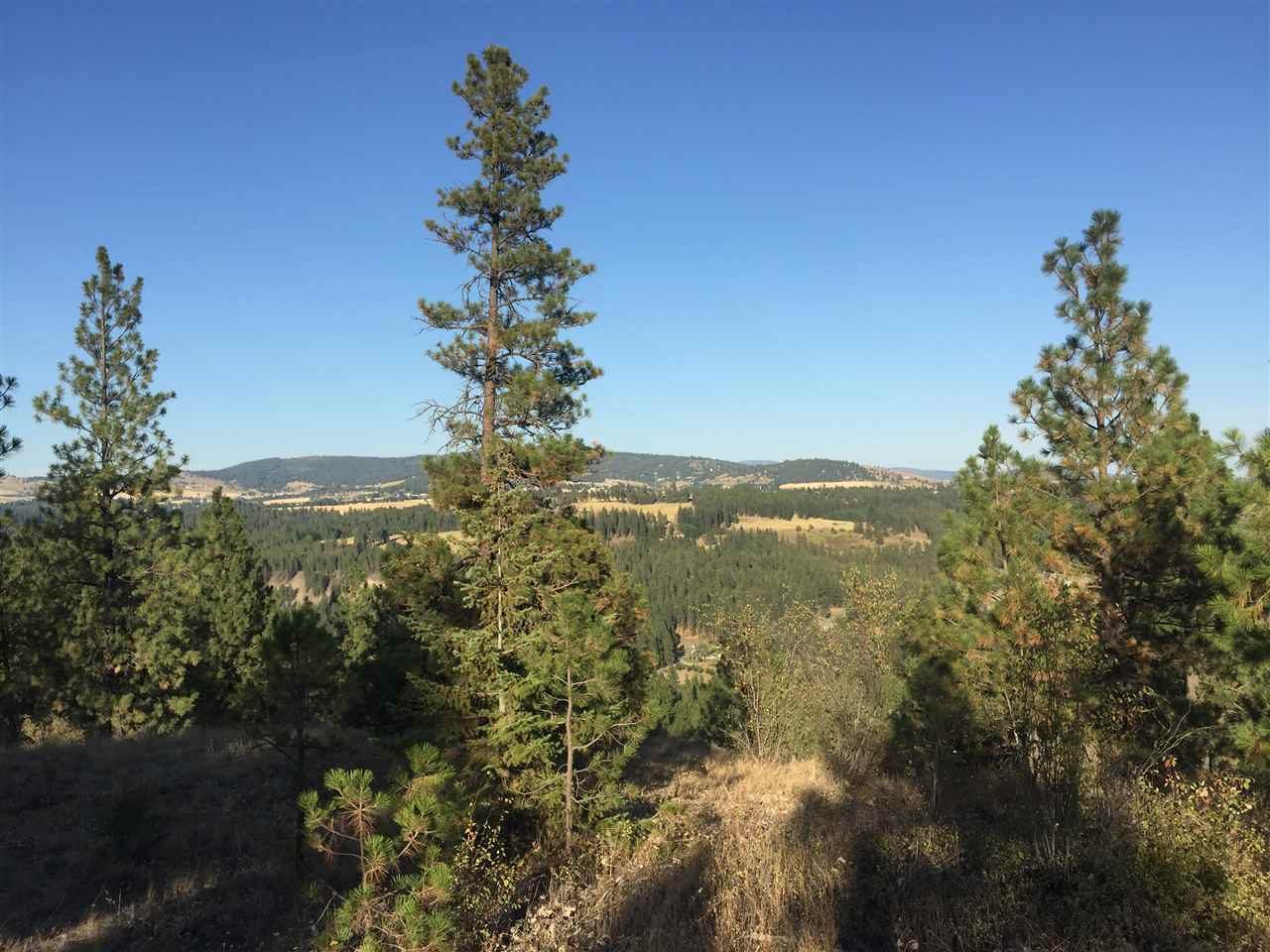 10410 South Hatch Road Spokane, WA 99224 - Photo 1 of 4