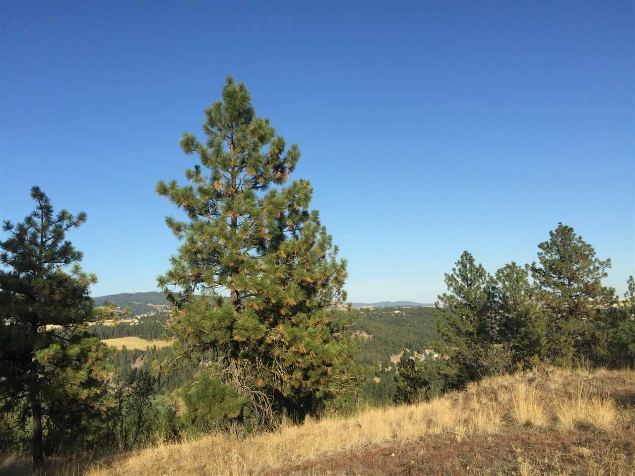 10410 South Hatch Road Spokane, WA 99224 - Photo 2 of 4