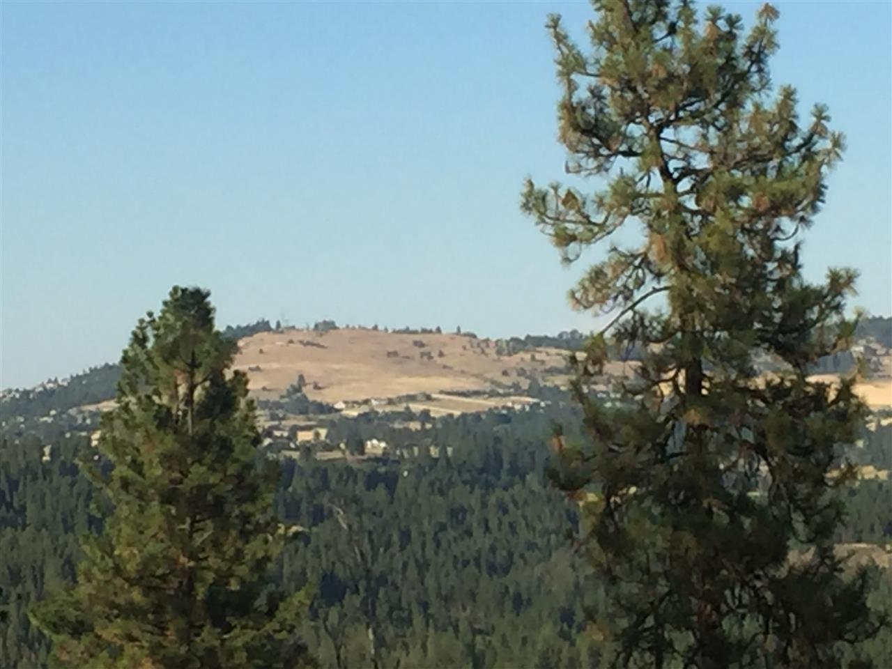 10410 South Hatch Road Spokane, WA 99224 - Photo 3 of 4